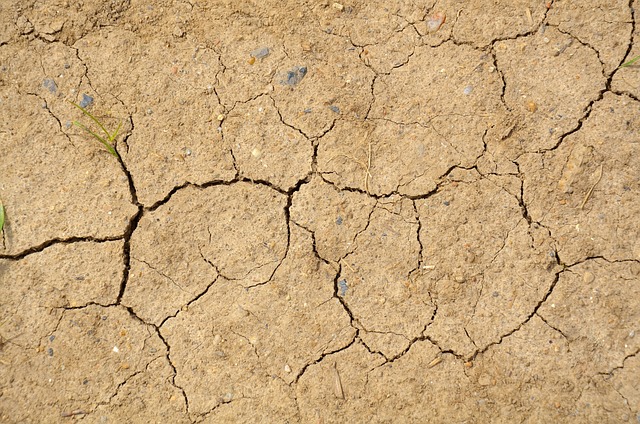 Close-up of dry, cracked soil. The earth appears parched and fragmented, with numerous irregular cracks spreading across the surface. The texture of the soil is coarse, and small stones and bits of gravel are visible among the cracks.